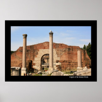 Seagull at the Forum Poster