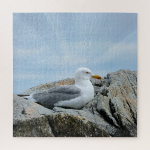 Seagull At The Seashore Jigsaw Puzzle