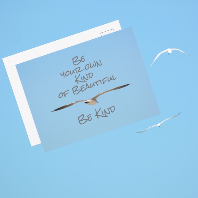 Seagull Be Your Own Kind of Beautiful Be Kind Postcard (Creator Uploaded)