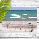 Seagull Beach Watercolor Print<br><div class="desc">Beautiful watercolor seagull on the beach</div>