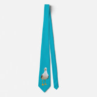 Seagull Bird on Turquoise