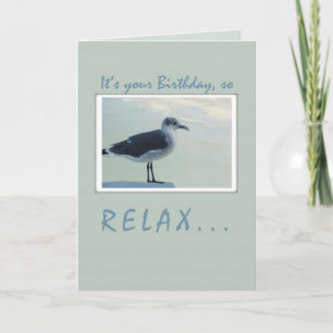 Seagull Birthday Card