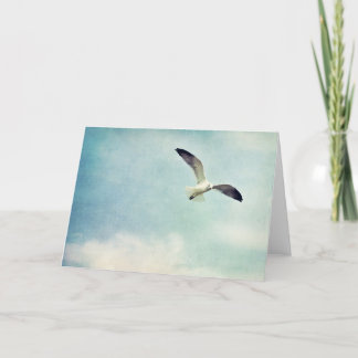 Seagull Blank Greeting Card