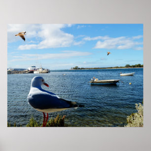 Seagull, Boats And The Ocean,   Poster