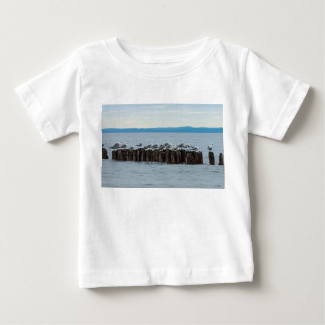 Seagull Breaktime Baby T-Shirt (Front)