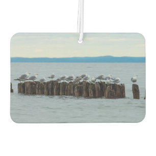 Seagull Breaktime Car Air Freshener