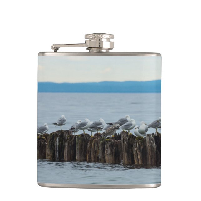 Seagull Breaktime Hip Flask (Front)