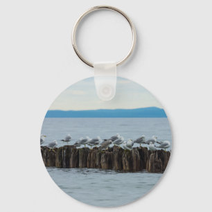 Seagull Breaktime Key Ring