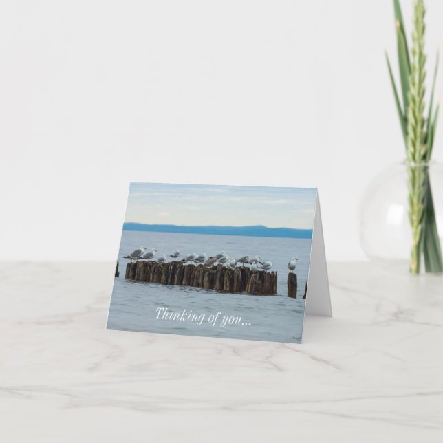 Seagull Breaktime Thinking Of You Card (Front)