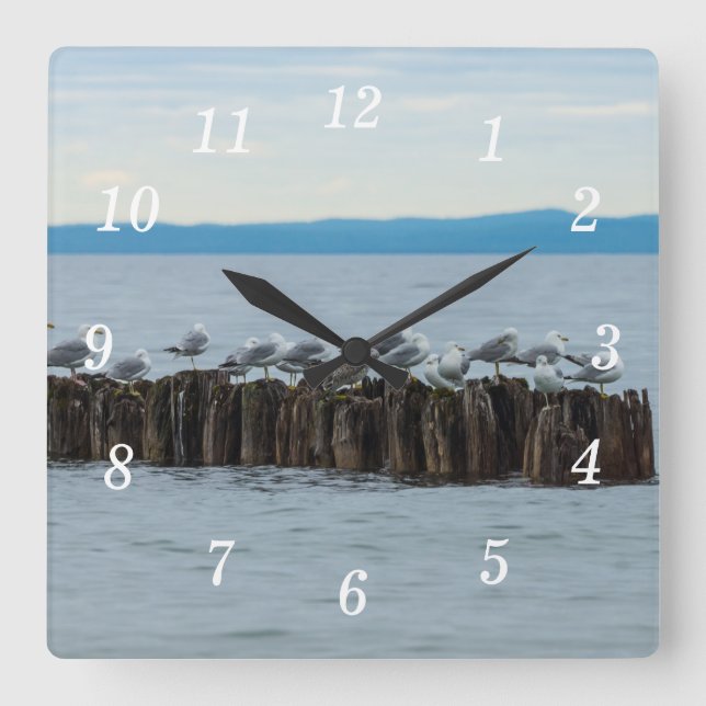 Seagull Breaktime Wall Clock (Front)