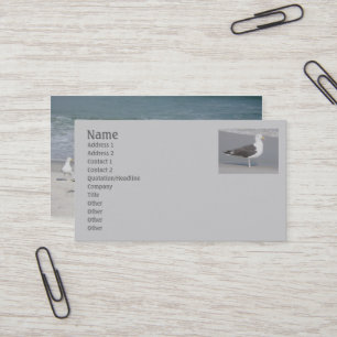 Seagull Business Card