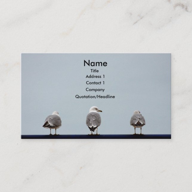 Seagull Business Cards (Front)