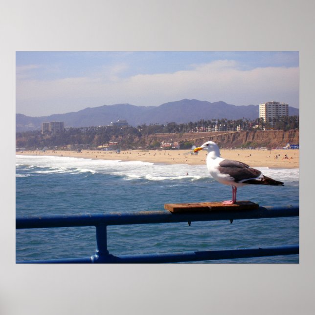 Seagull by Santa Monica Beach Poster (Front)