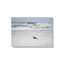Seagull by the Ocean on Canvas