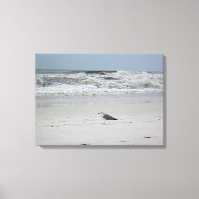 Seagull by the Ocean on Canvas Print (Front)