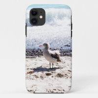 seagull by the ocean on the beach picture