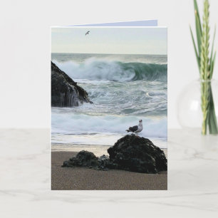 Seagull by the Sea Card