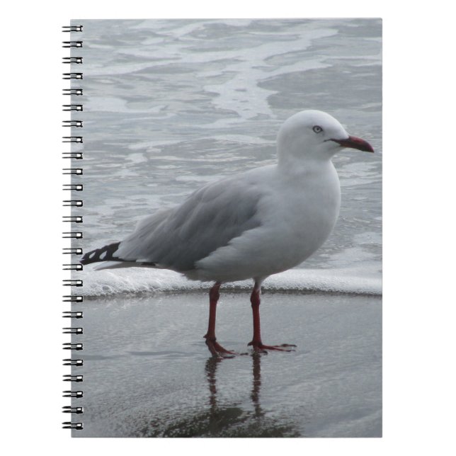Seagull by the Sea Spiral Notebook (Front)