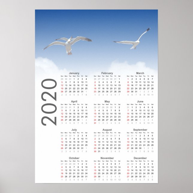 Seagull Calendar 2020 Poster (Front)