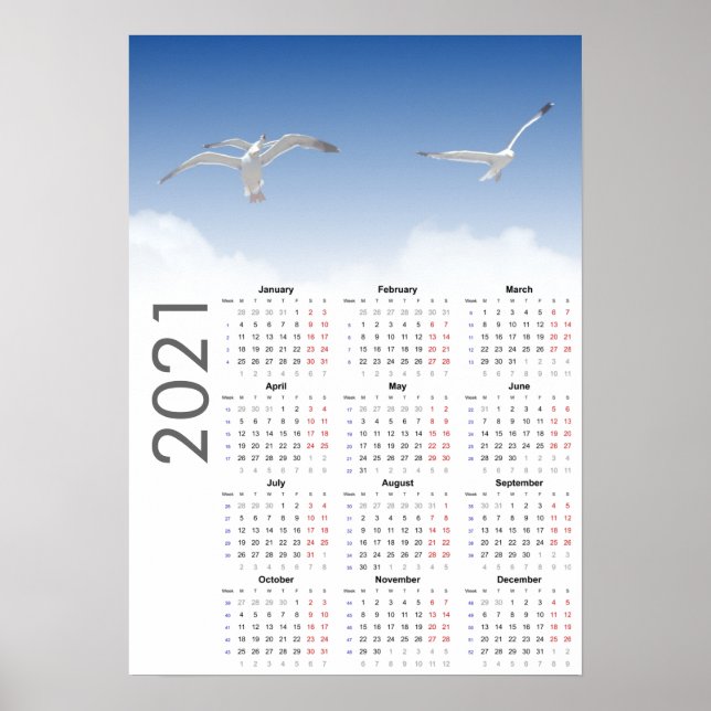 Seagull Calendar 2021 Poster - Monday first (Front)