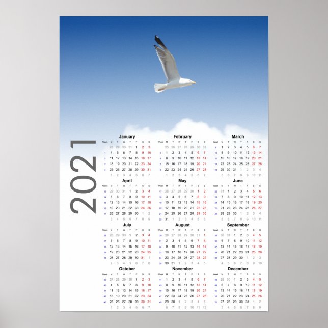 Seagull Calendar 2021 Poster - Monday first (Front)
