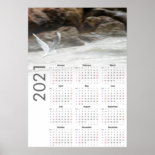 Seagull Calendar 2021 Poster - Sunday first (Front)