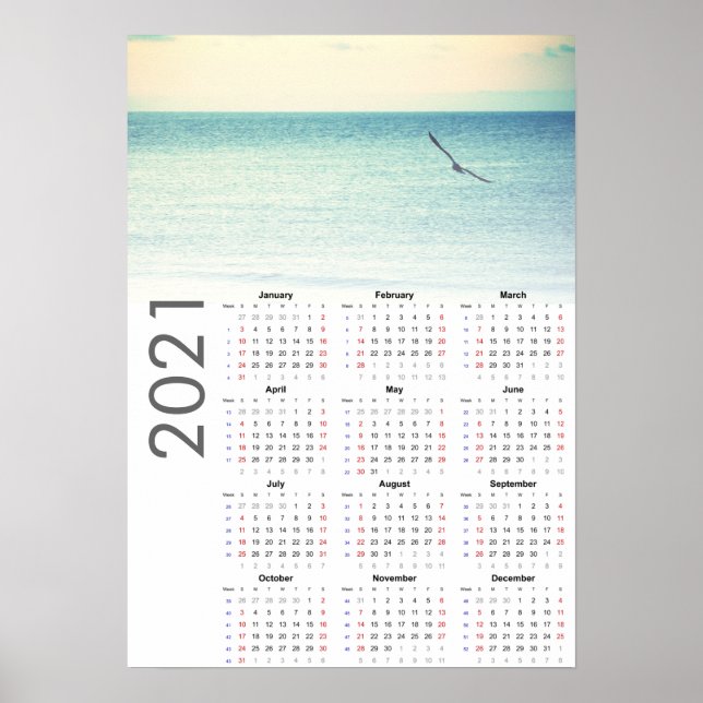 Seagull Calendar 2021 Poster - Sunday first (Front)