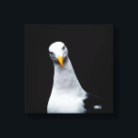 Seagull Canvas Print<br><div class="desc">2022-2023</div>