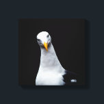 Seagull Canvas Print<br><div class="desc">2022-2023</div>