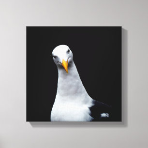 Seagull Canvas Print
