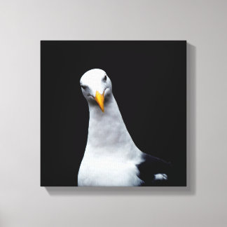 Seagull Canvas Print