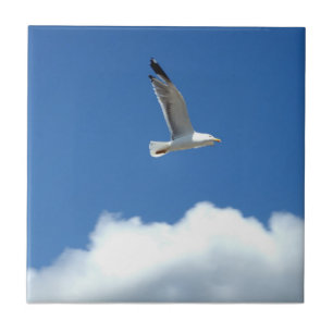 Seagull Ceramic Tile