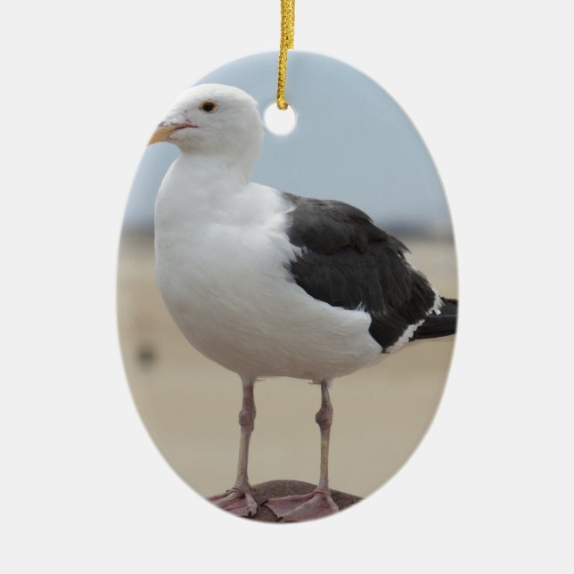 Seagull Ceramic Tree Decoration (Front)