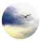 Seagull