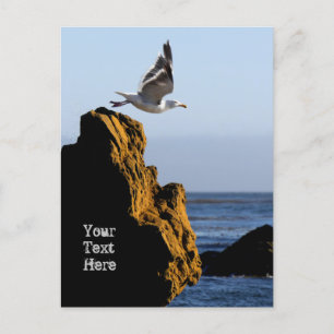 Seagull Departs  Postcard