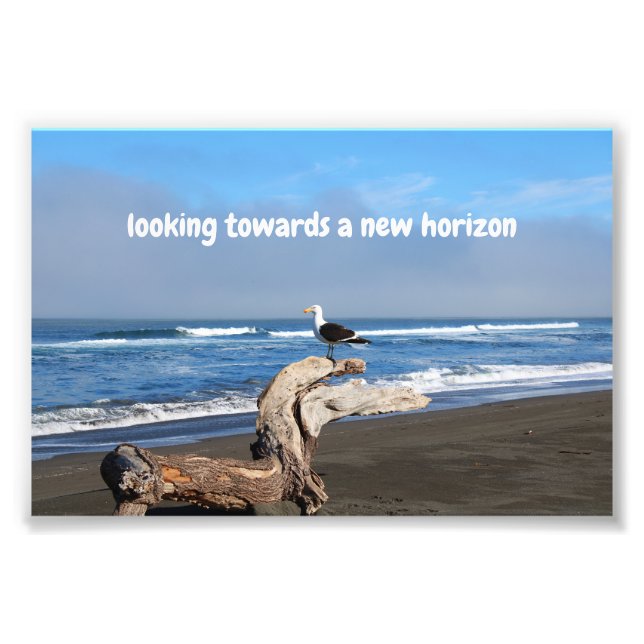 Seagull facing the sea photo print (Front)