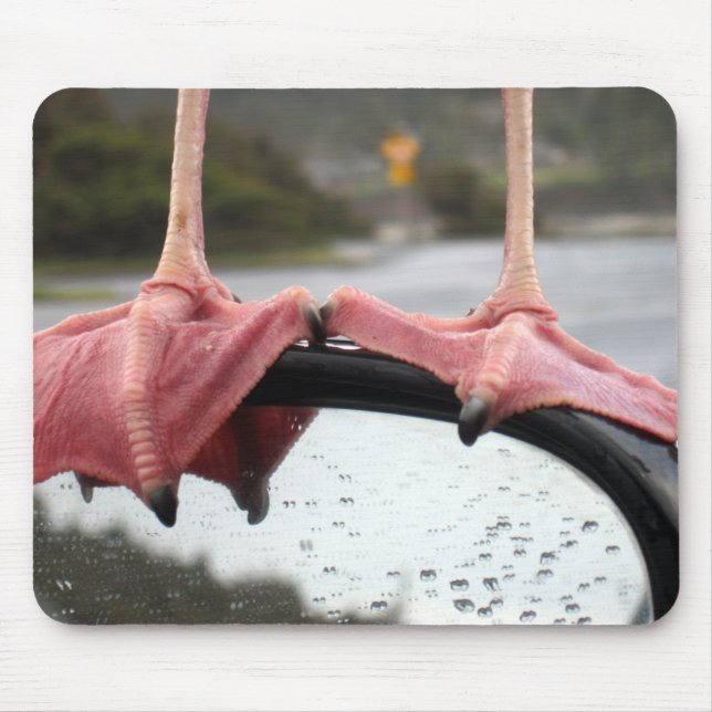 Seagull Feet Mouse Pad (Front)