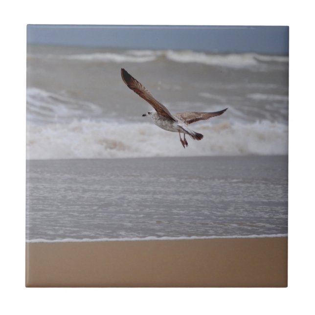 Seagull Flying over Beach towards Ocean Tile (Front)