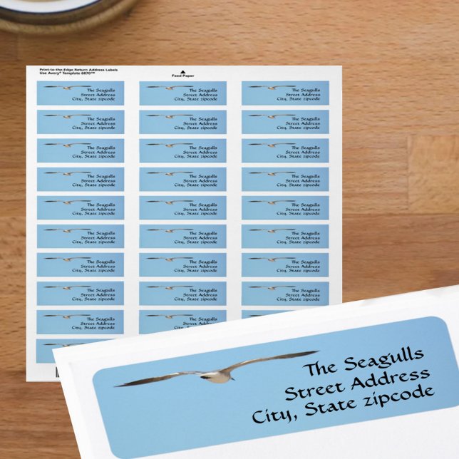 Seagull Flying Sky Blue Coastal Return Address (Creator Uploaded)