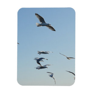 Seagull Flying Vertical Flexible Photo Magnet