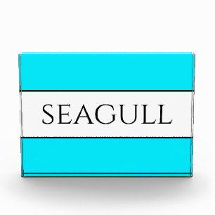 SEAGULL Fun Bright Pretty Sky Blue White Stripes  Photo Block