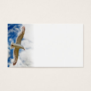 Seagull gliding in flight close up with blue skies