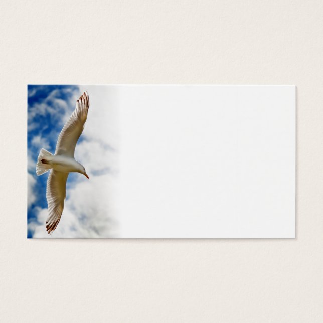 Seagull gliding in flight close up with blue skies (Front)