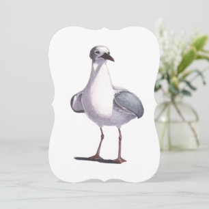 Seagull Greeting Card