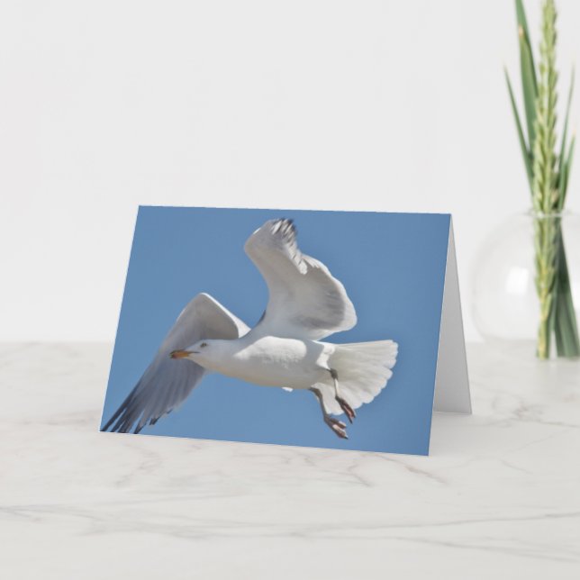 Seagull greeting card (Front)