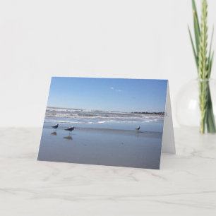seagull greeting card