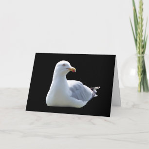 Seagull Greetings Add Text Card