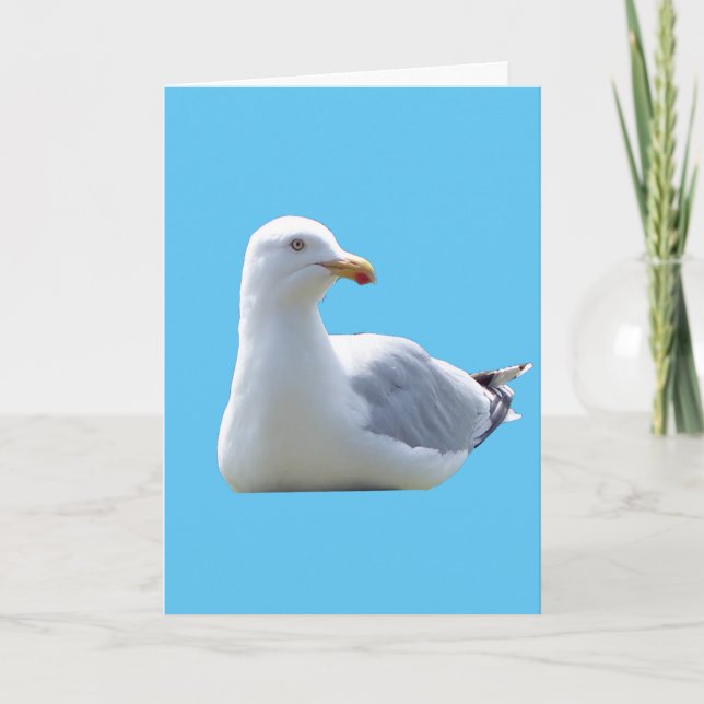 Seagull Greetings Add Text Card (Front)