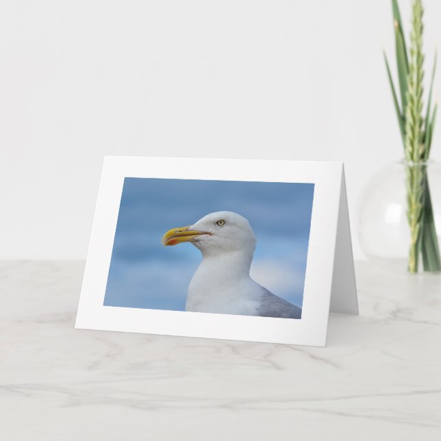 Seagull Greetings Card (Front)