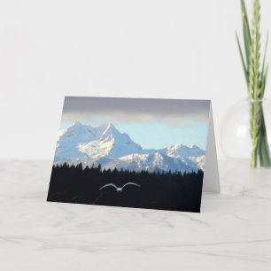 Seagull in Flight, Olympic Mountains from Silverda Card